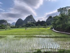 -靖西鹅泉风景区