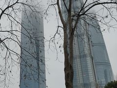 -陆家嘴中心绿地