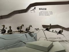 -长江文明馆