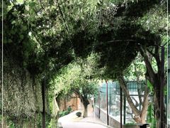 -泉州海丝野生动物世界