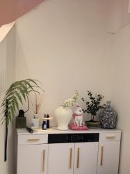 -WENDY·温迪皮肤管理