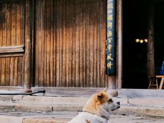 -乌镇东栅景区