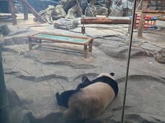 -武汉动物园