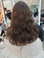 -东方麒麟·潘多拉SALON