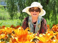 -杭州湾海上花田景区