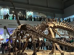 -自贡恐龙博物馆