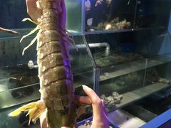 -辉记炭烧海鲜大排档·老字号(福田店)