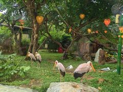 -熊猫自助餐厅.萌趣城堡(长隆熊猫酒店)