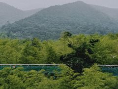 -陶祖圣境风景区