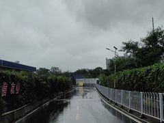 -火炉山森林公园