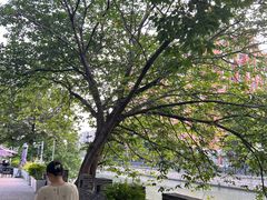 -云间粮仓