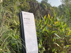 -金海湾滨江公园