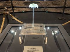 -平顶山博物馆
