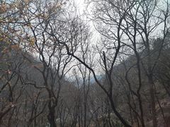 -天津盘山风景名胜区