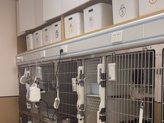-瑞派康怡24h宠物医院·犬猫医疗中心·微创绝育(瑞景分院)