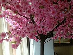 -莱仪堂艾灸经络养生馆(九亭一店)