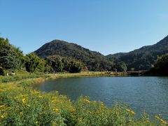 -广州市石门国家森林公园