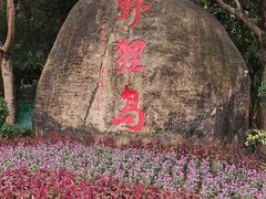 -野狸岛