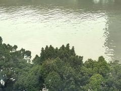 -和苑酒家·一线江景(星寰店)