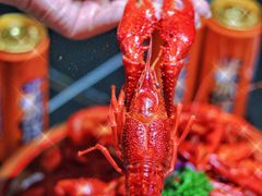-虾乐园龙虾·夜宵(松江店)