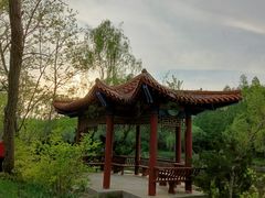 -日照海滨国家森林公园