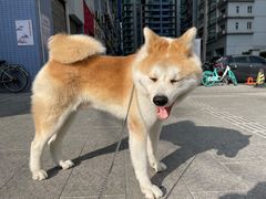 -YCHL Studios健身工作室(市二宫店)
