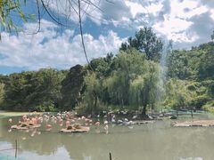 -宁波野生动物园