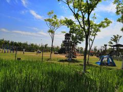 -上海长兴岛郊野公园