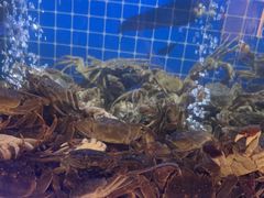 -福禧荟·海鲜自助