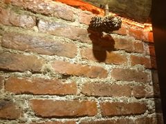 -在路上酒吧(大理古城店)