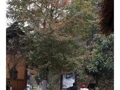 -常德桃花源景区