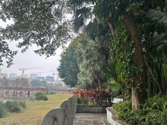 -南宁南湖公园