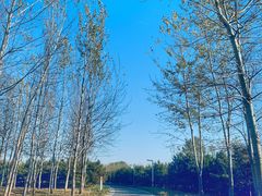 -东郊湿地公园