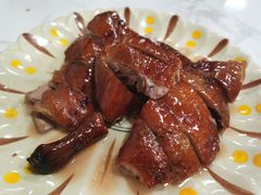 烧鸭-永合隆茶餐厅(海雅缤纷城店)