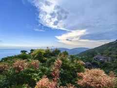 -三亚亚龙湾人间天堂鸟巢度假村