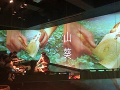 -地球美食剧场