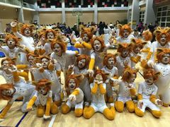 -协和双语学校(虹桥校区)