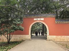 -灵谷景区