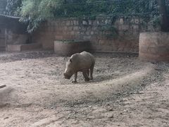 -昆明动物园