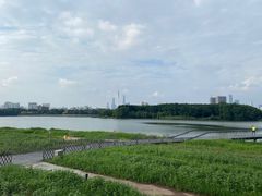 -海珠湖公园