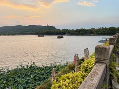 -湖畔居茶楼(湖滨店)