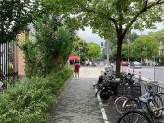 -上海财经大学(国定路校区)