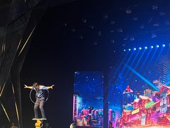 -重庆国际马戏城
