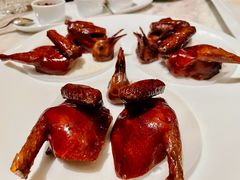 脆皮妙龄鸽-新荣记(新源南路店)