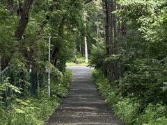 -黑龙江省森林植物园