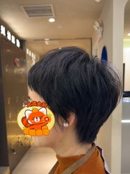 -木北造型