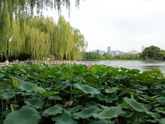 -济南大明湖景区