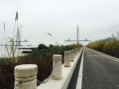 -芒洲湿地公园