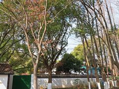 -瀛洲公园