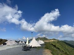 -南山植物园
